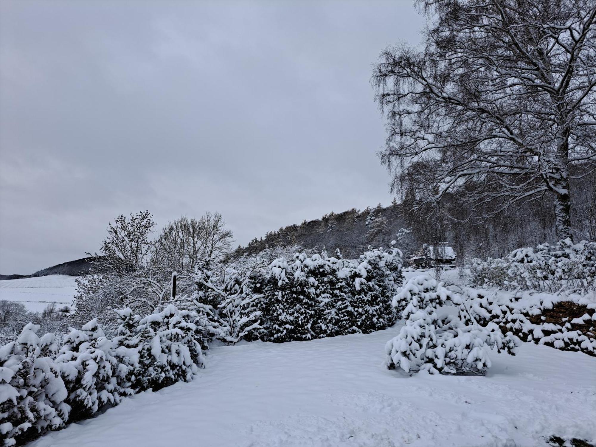 Sauerland-Tinyworld - Ihr Tiny Ferienhaus Im Sauerland Am Diemelsee Exteriör bild