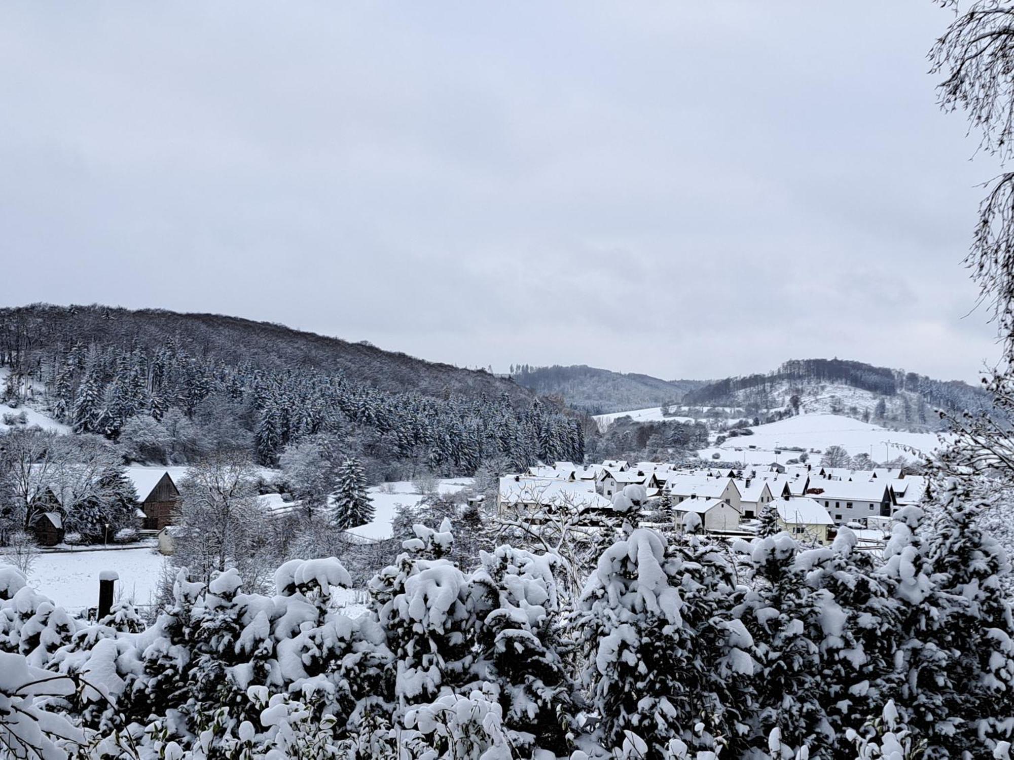 Sauerland-Tinyworld - Ihr Tiny Ferienhaus Im Sauerland Am Diemelsee Exteriör bild