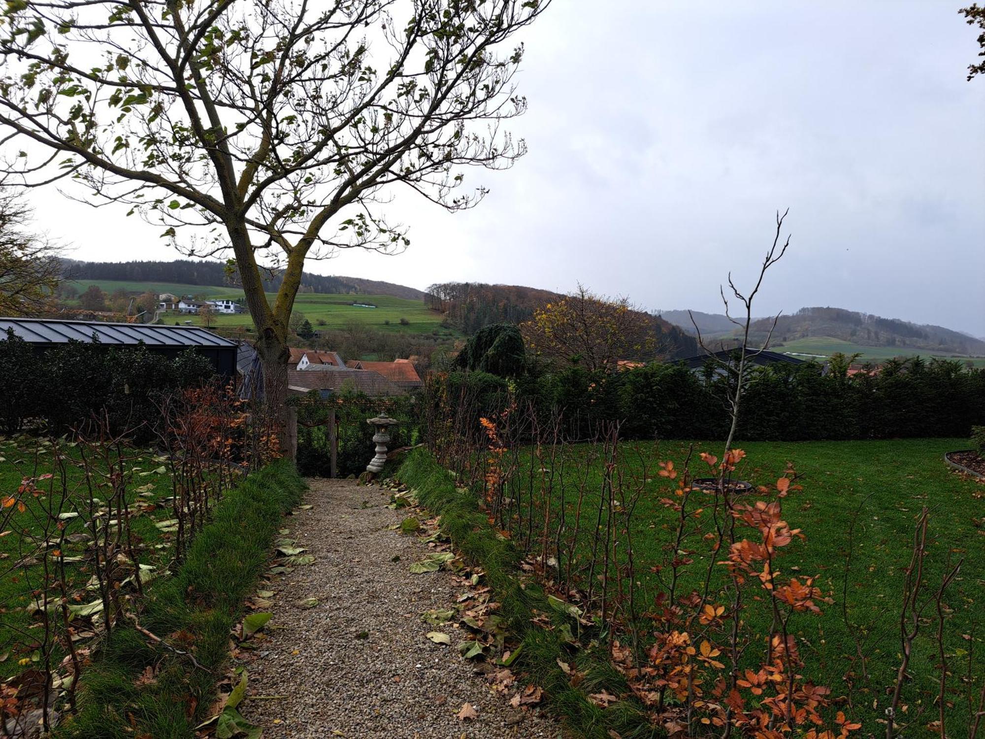 Sauerland-Tinyworld - Ihr Tiny Ferienhaus Im Sauerland Am Diemelsee Exteriör bild
