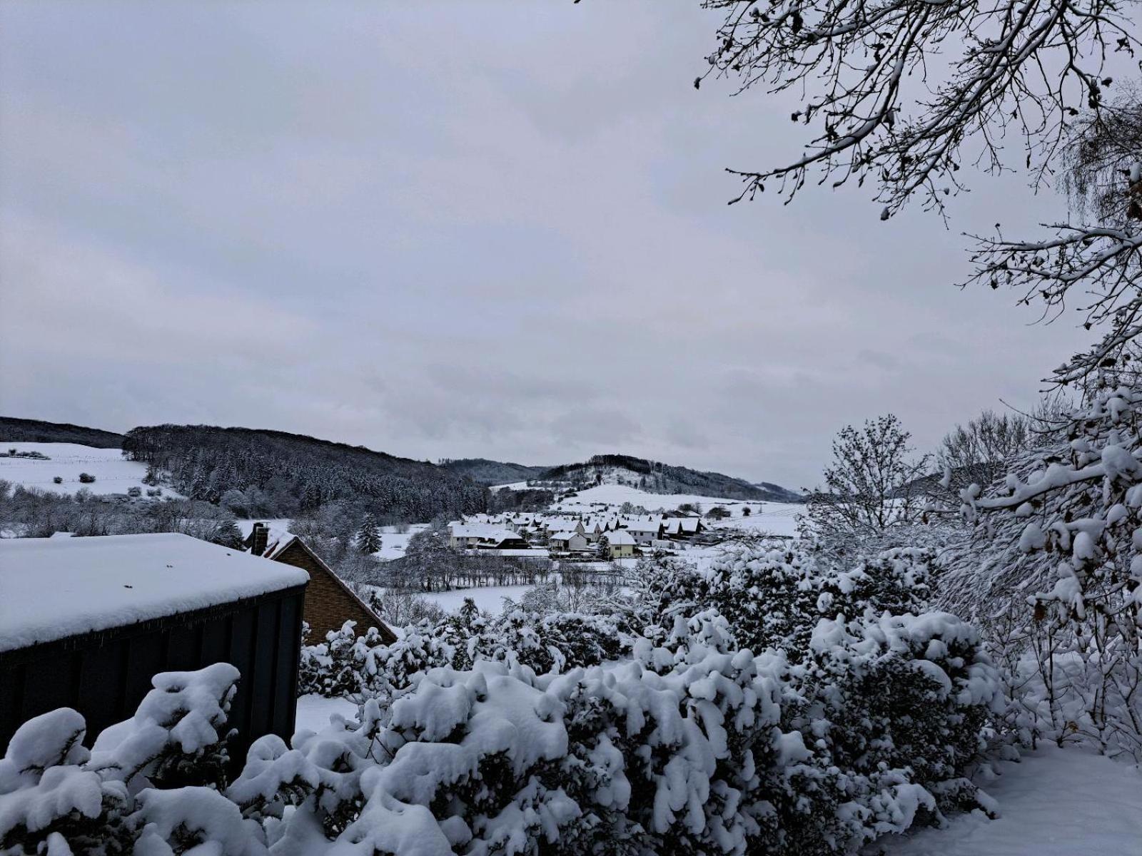 Sauerland-Tinyworld - Ihr Tiny Ferienhaus Im Sauerland Am Diemelsee Exteriör bild