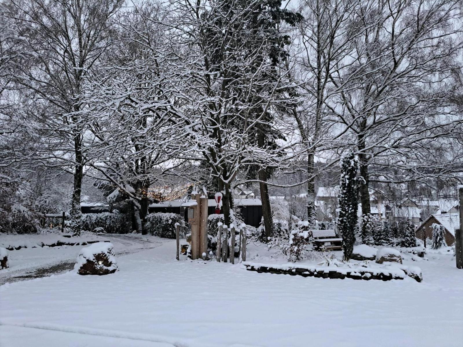 Sauerland-Tinyworld - Ihr Tiny Ferienhaus Im Sauerland Am Diemelsee Exteriör bild