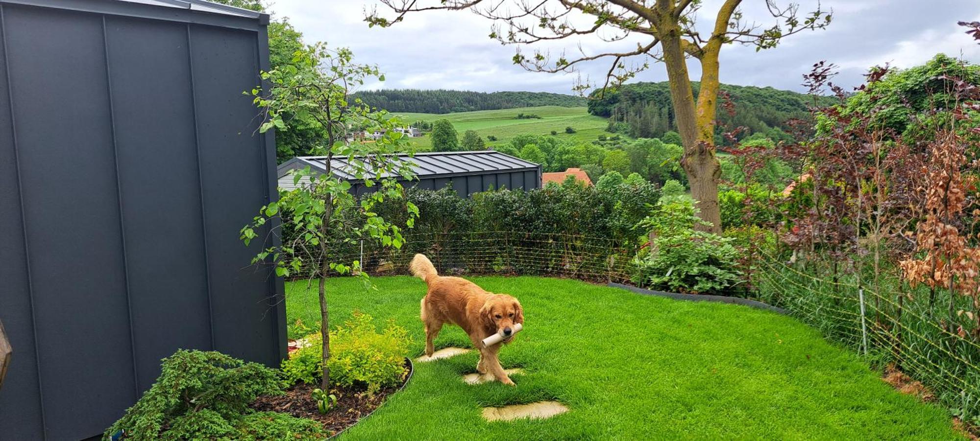 Sauerland-Tinyworld - Ihr Tiny Ferienhaus Im Sauerland Am Diemelsee Exteriör bild