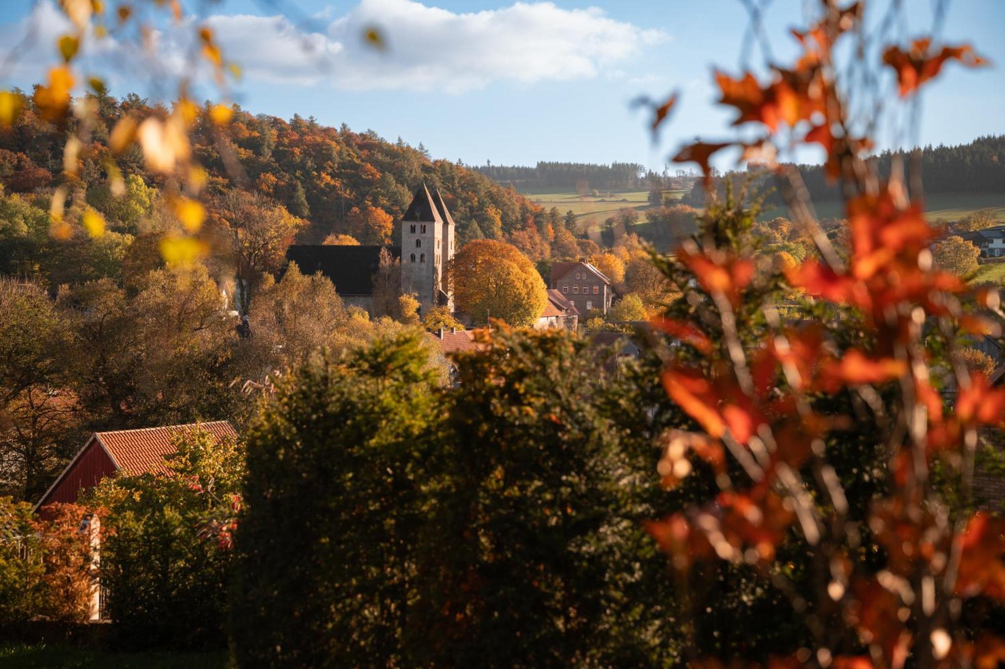 Sauerland-Tinyworld - Ihr Tiny Ferienhaus Im Sauerland Am Diemelsee Exteriör bild