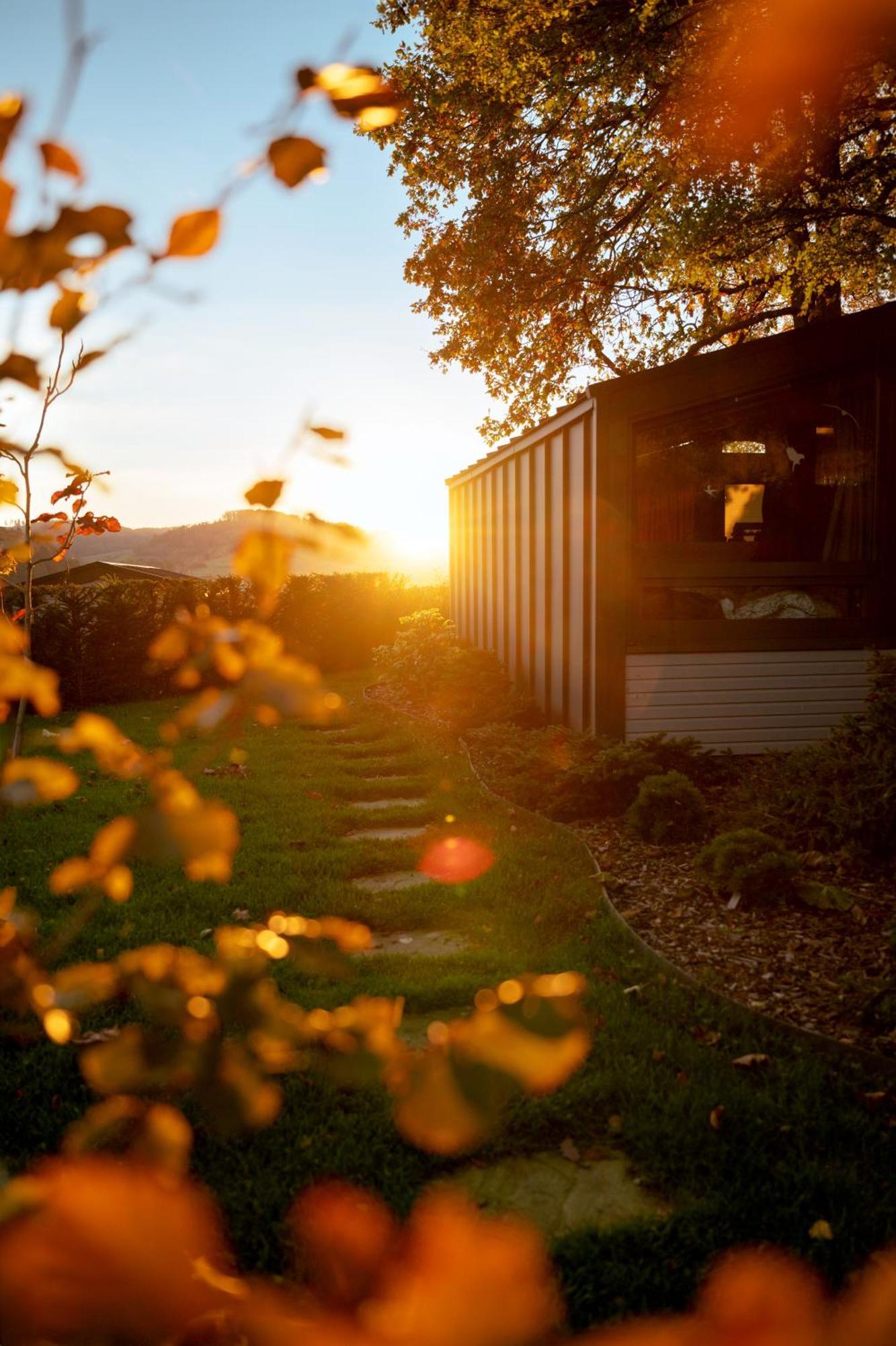 Sauerland-Tinyworld - Ihr Tiny Ferienhaus Im Sauerland Am Diemelsee Exteriör bild