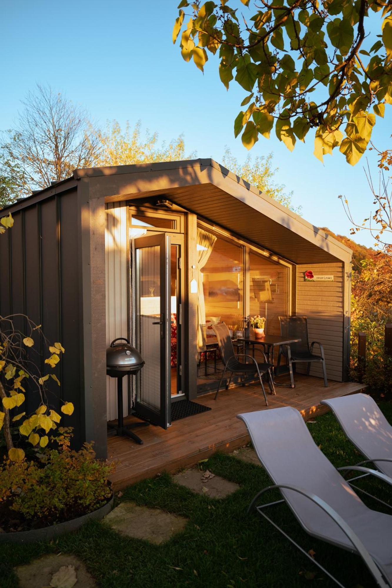 Sauerland-Tinyworld - Ihr Tiny Ferienhaus Im Sauerland Am Diemelsee Exteriör bild