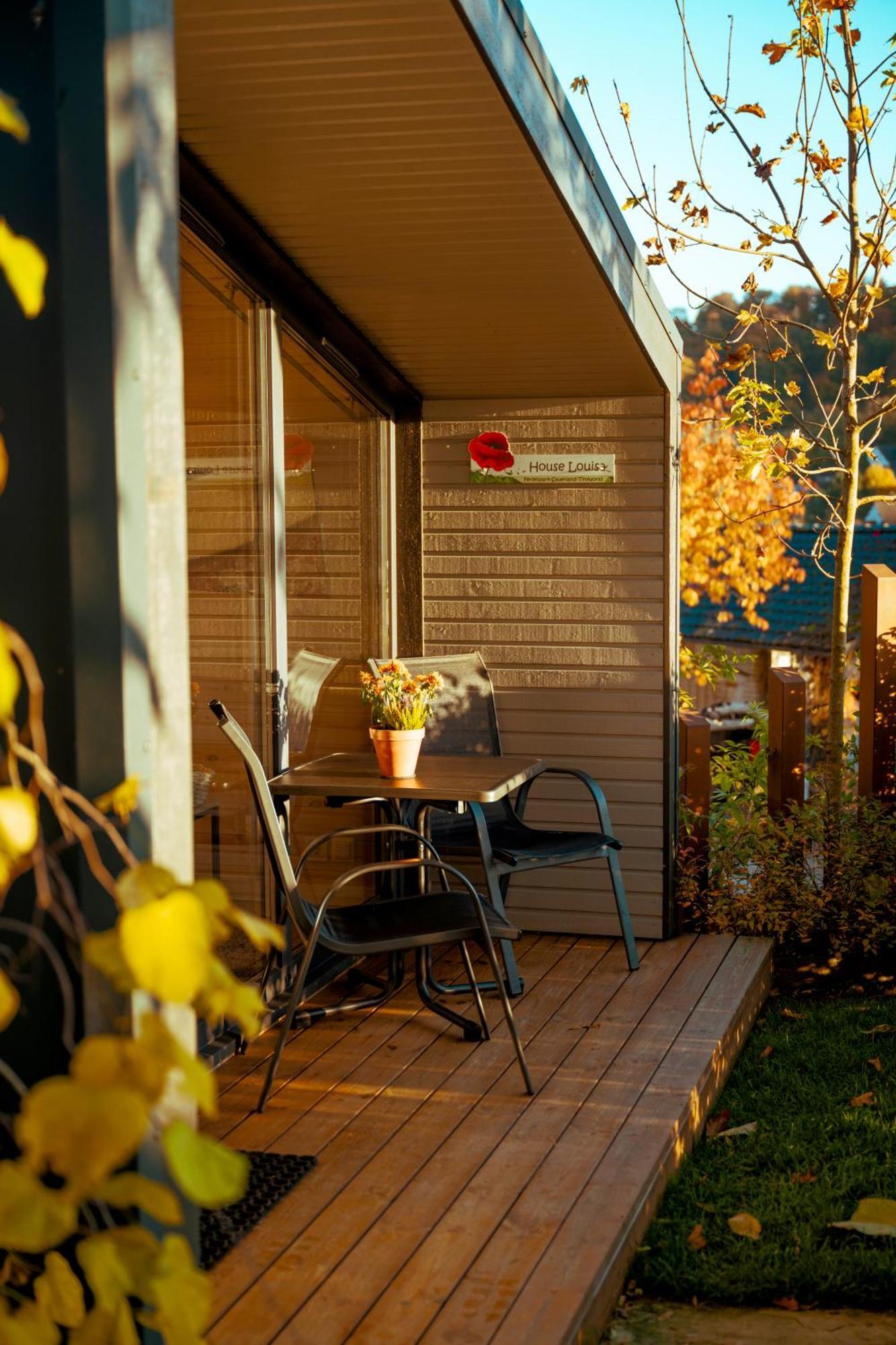 Sauerland-Tinyworld - Ihr Tiny Ferienhaus Im Sauerland Am Diemelsee Exteriör bild