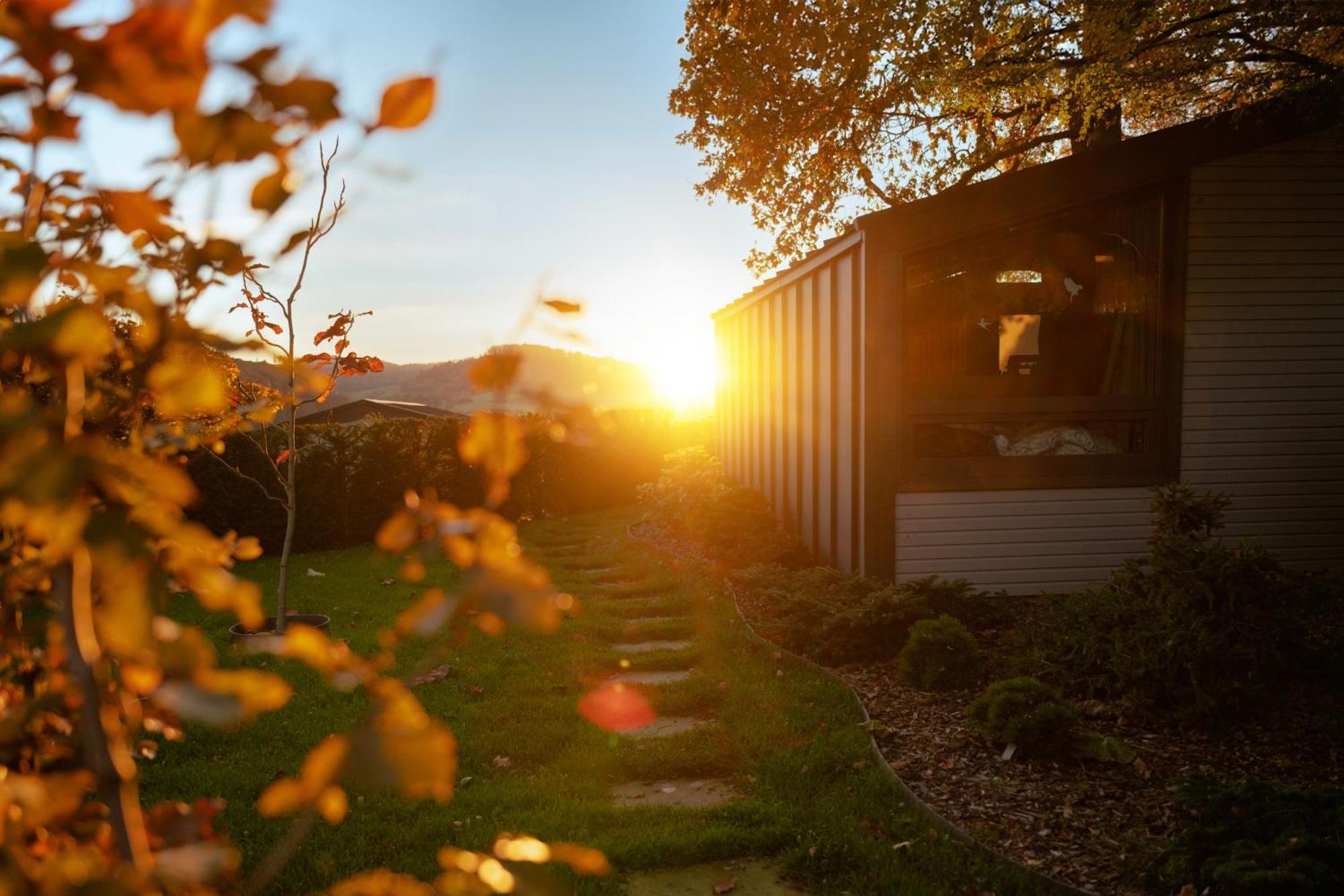 Sauerland-Tinyworld - Ihr Tiny Ferienhaus Im Sauerland Am Diemelsee Exteriör bild