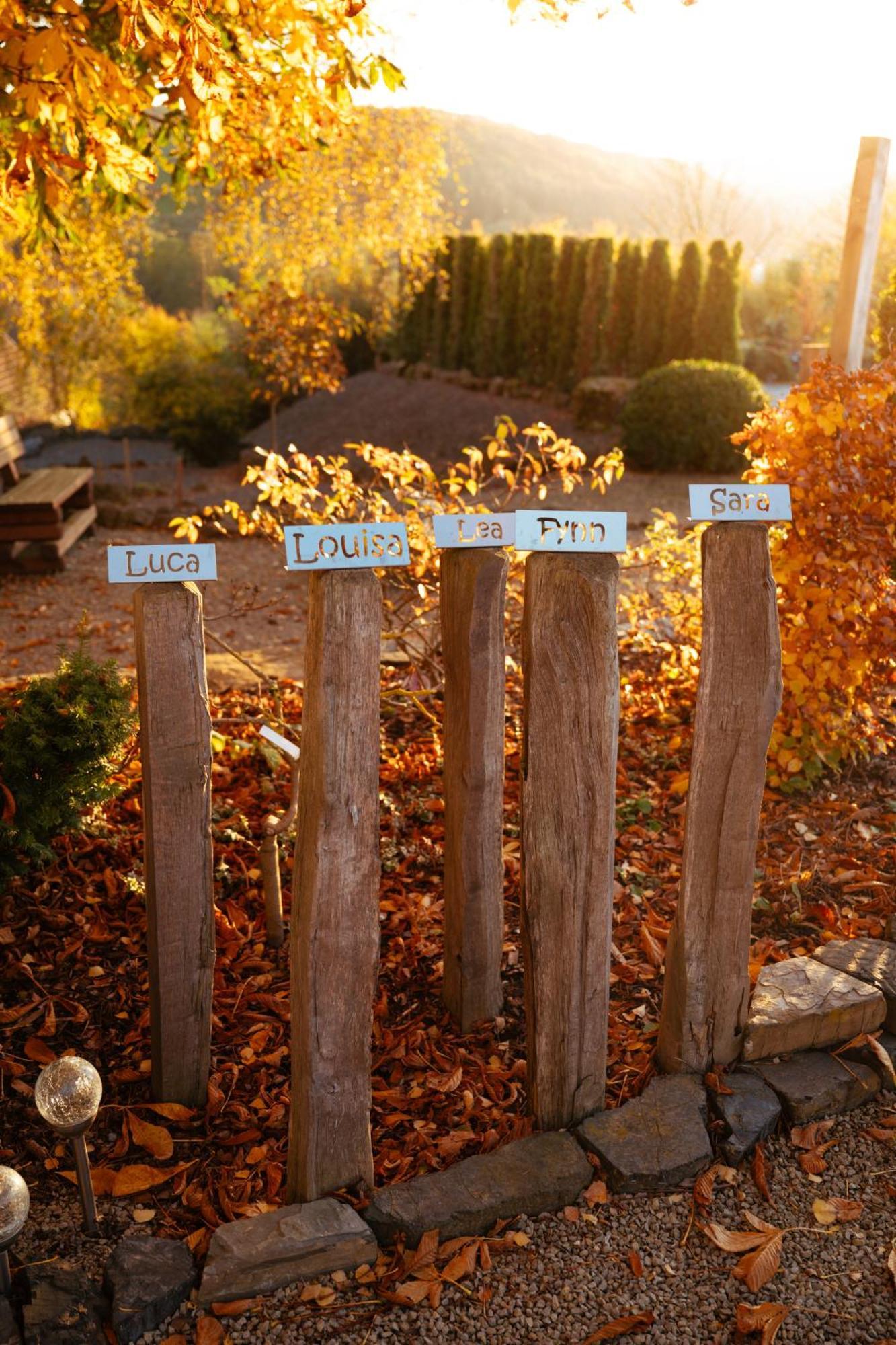Sauerland-Tinyworld - Ihr Tiny Ferienhaus Im Sauerland Am Diemelsee Exteriör bild