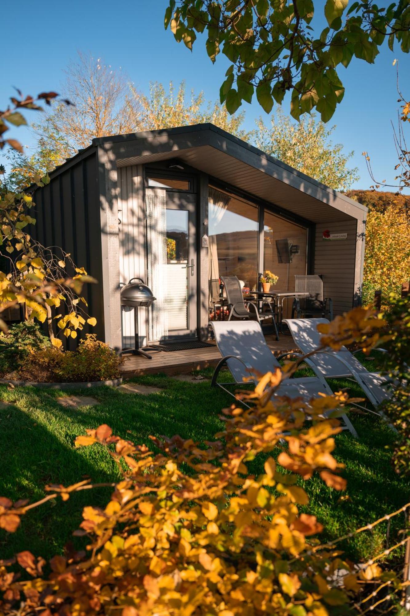 Sauerland-Tinyworld - Ihr Tiny Ferienhaus Im Sauerland Am Diemelsee Exteriör bild