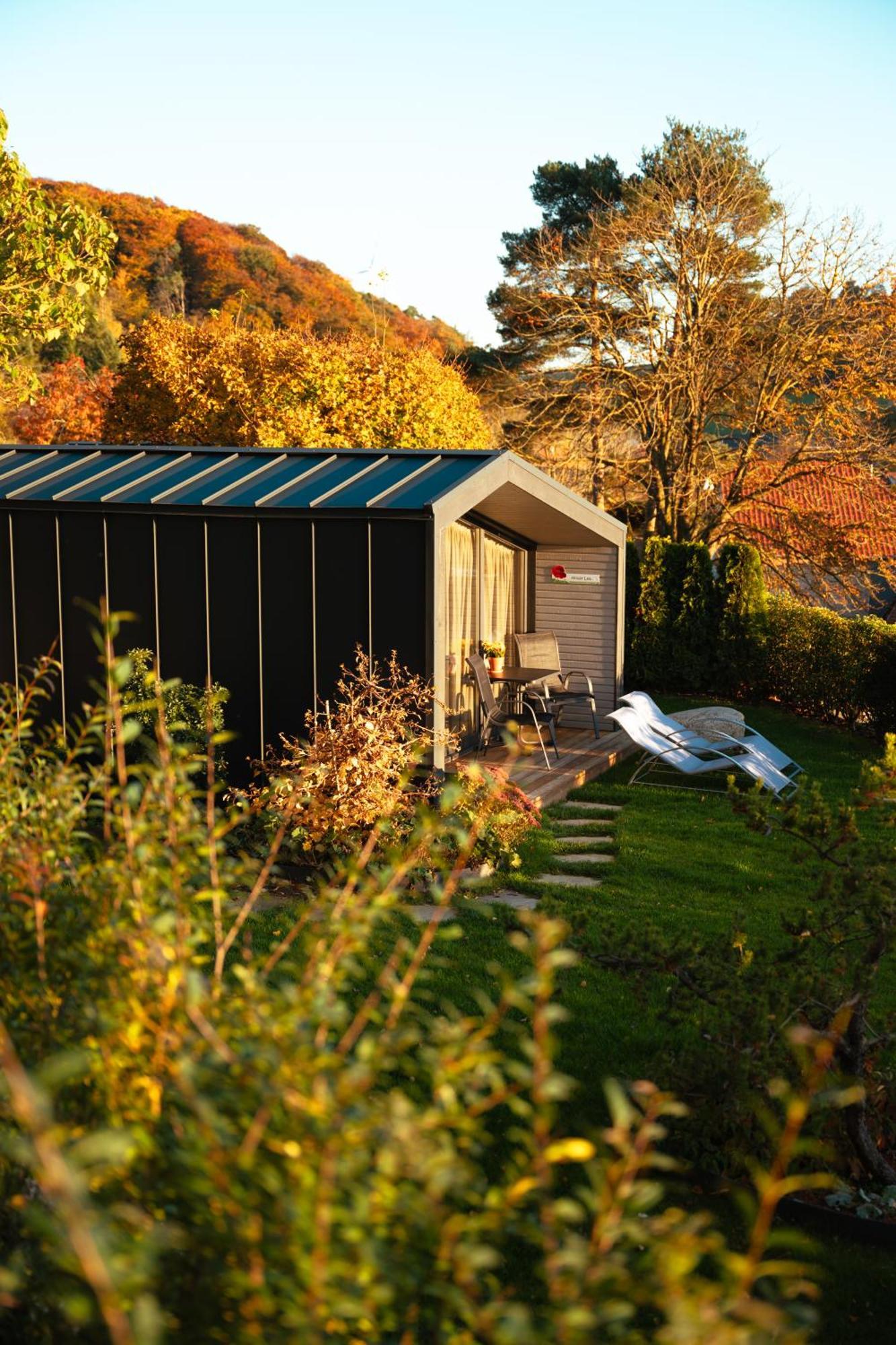 Sauerland-Tinyworld - Ihr Tiny Ferienhaus Im Sauerland Am Diemelsee Exteriör bild