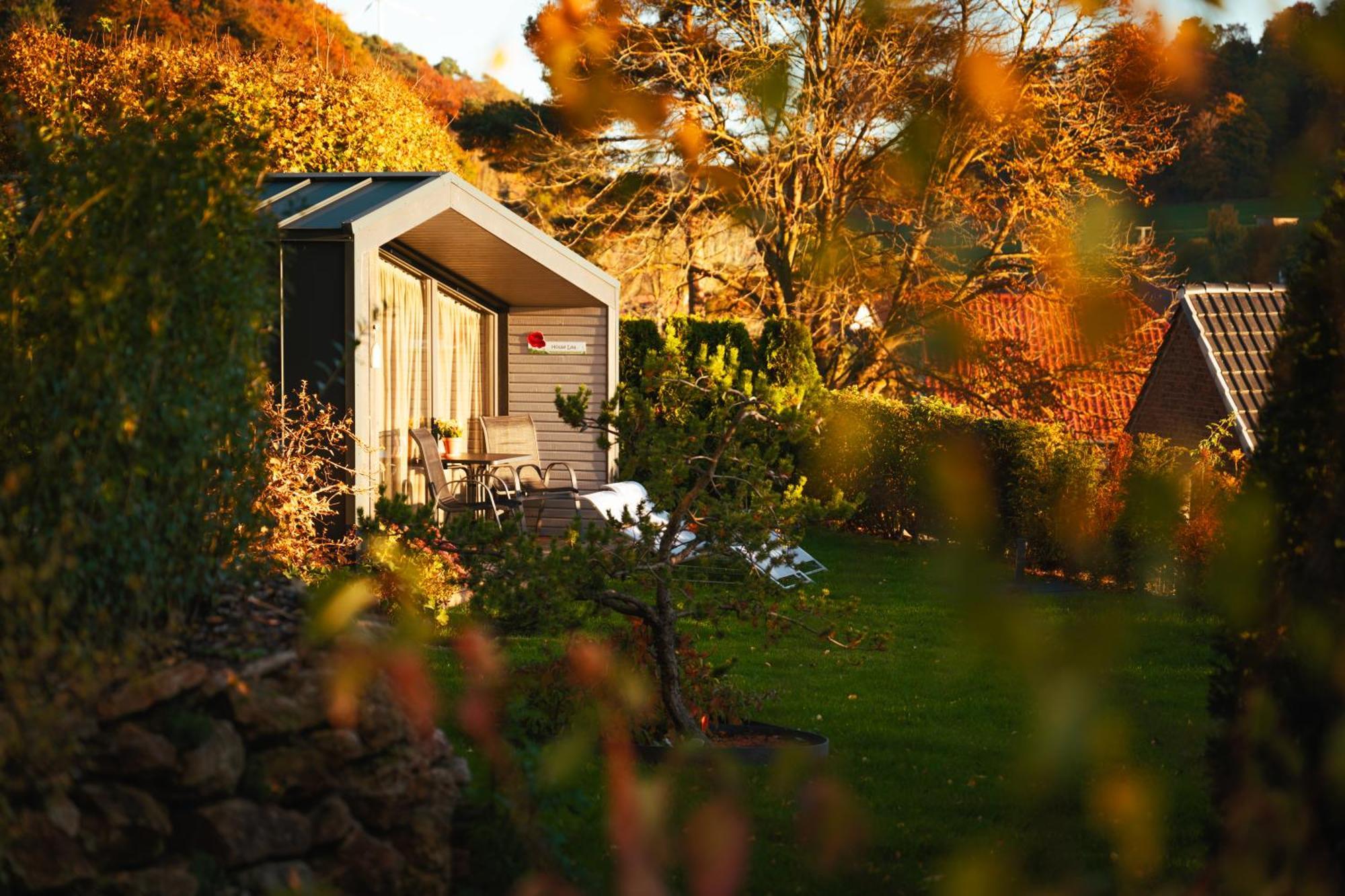 Sauerland-Tinyworld - Ihr Tiny Ferienhaus Im Sauerland Am Diemelsee Exteriör bild
