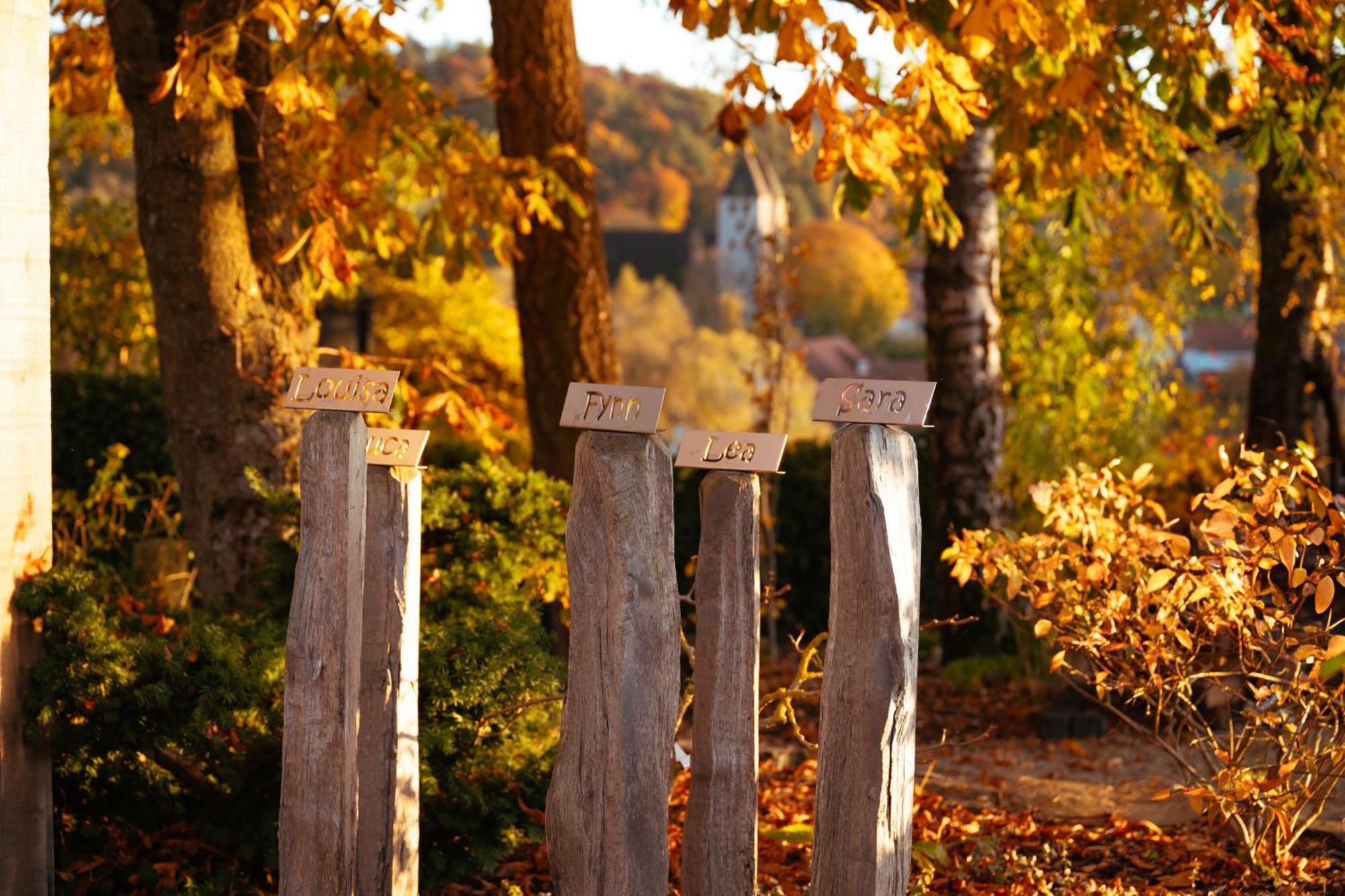 Sauerland-Tinyworld - Ihr Tiny Ferienhaus Im Sauerland Am Diemelsee Exteriör bild