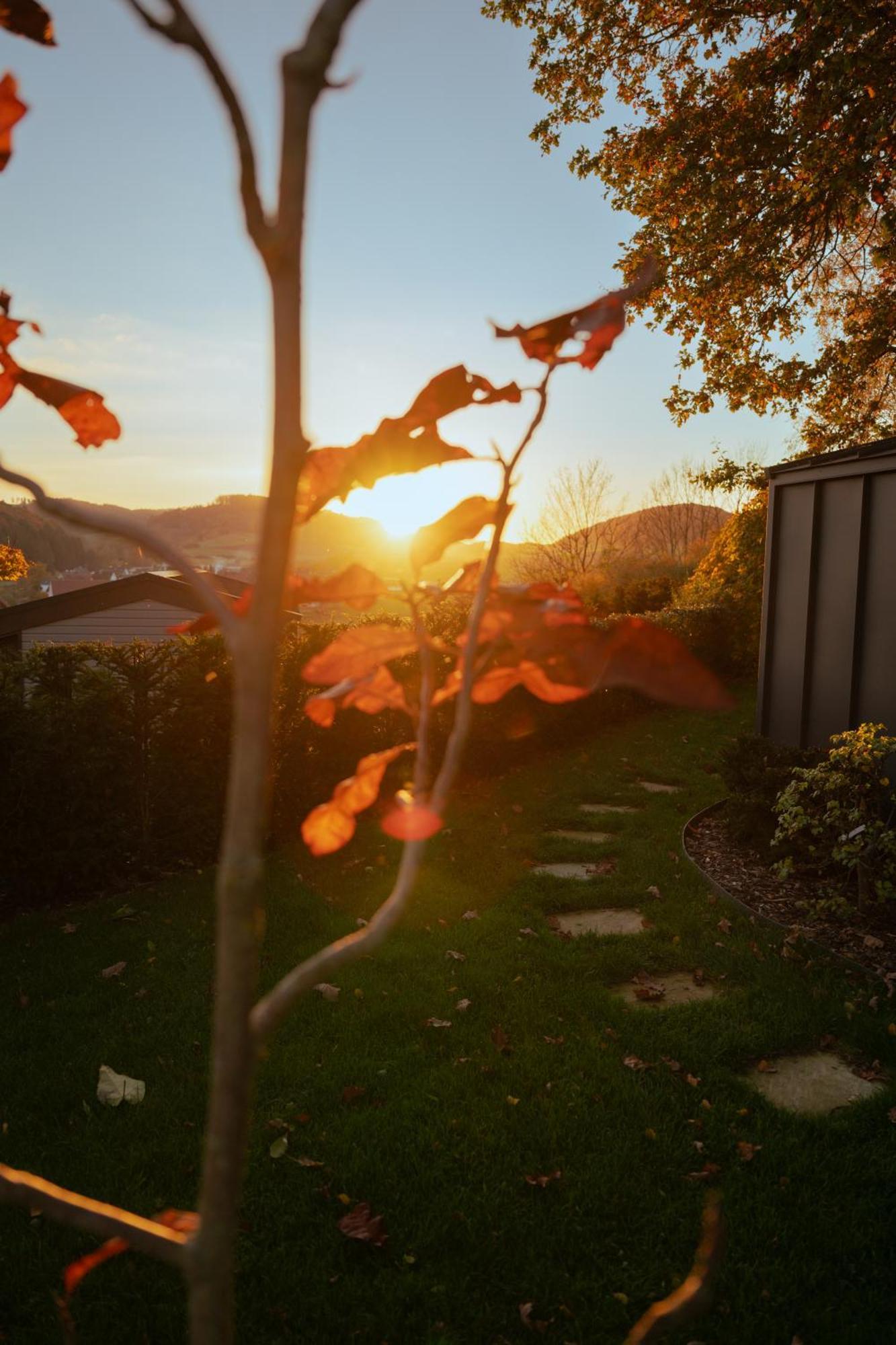 Sauerland-Tinyworld - Ihr Tiny Ferienhaus Im Sauerland Am Diemelsee Exteriör bild