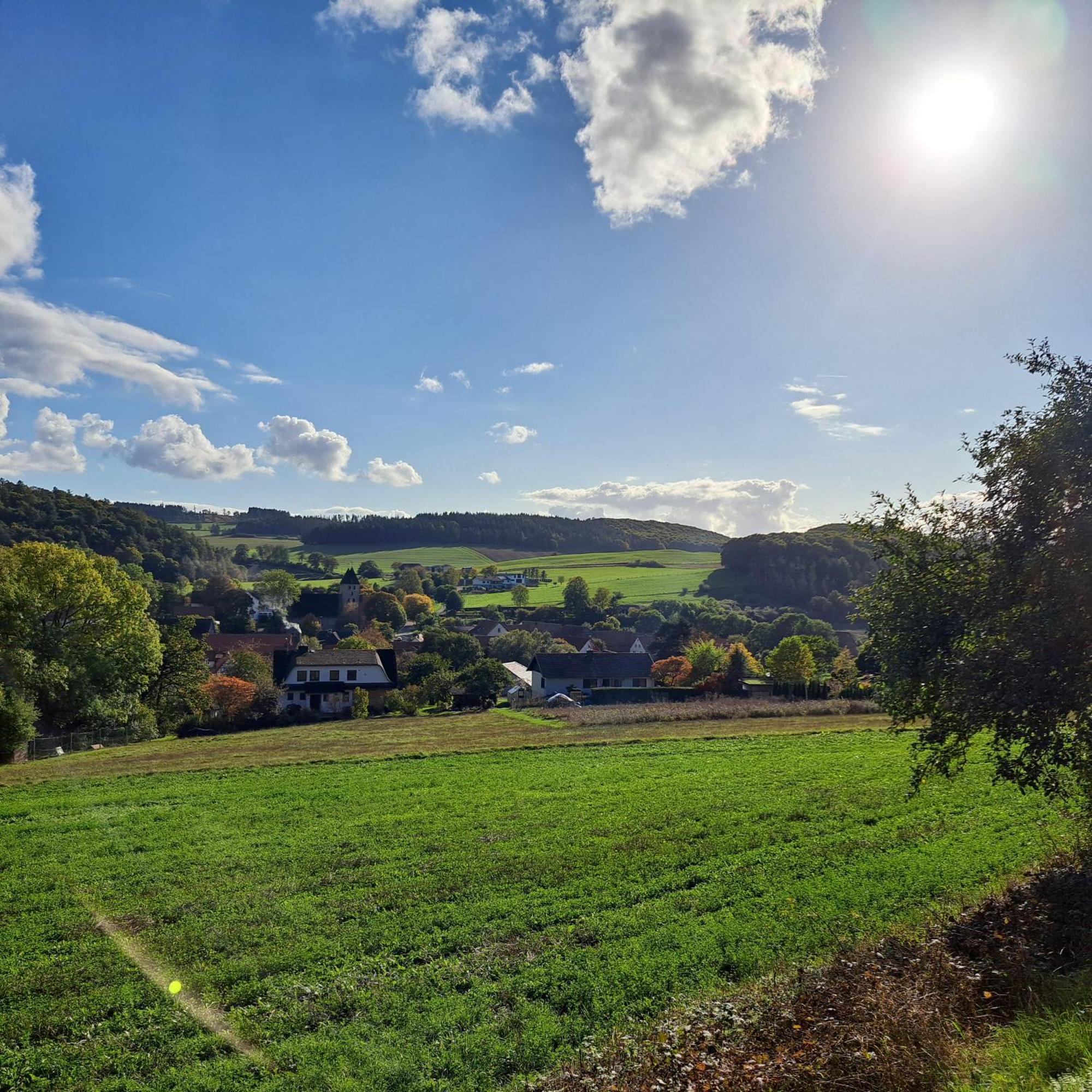 Sauerland-Tinyworld - Ihr Tiny Ferienhaus Im Sauerland Am Diemelsee Exteriör bild