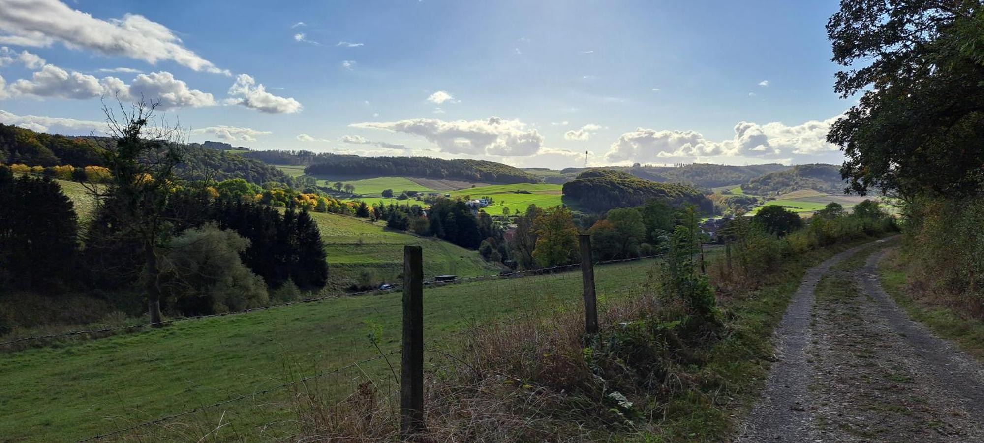 Sauerland-Tinyworld - Ihr Tiny Ferienhaus Im Sauerland Am Diemelsee Exteriör bild