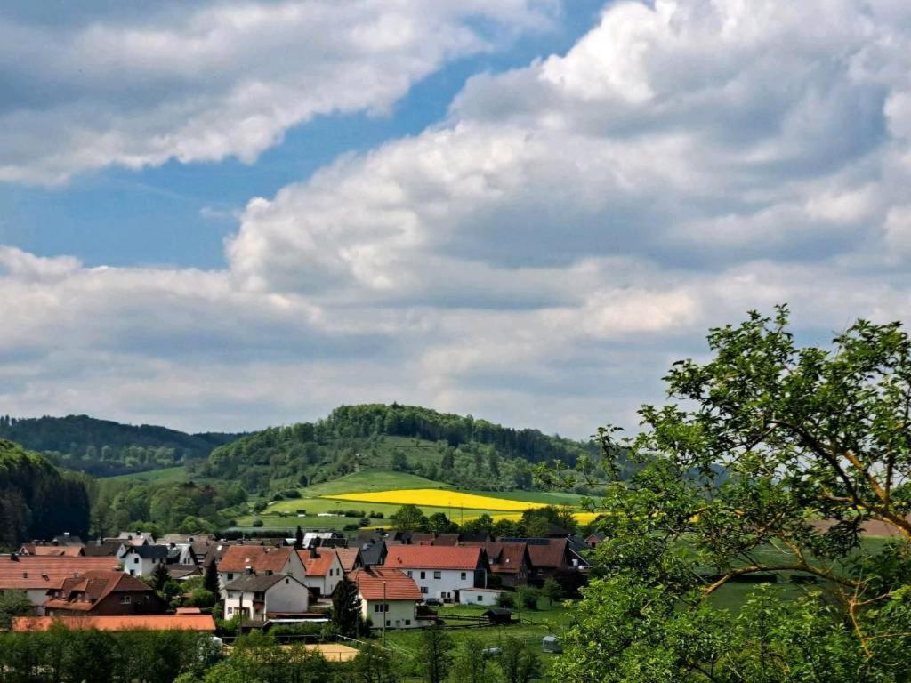 Sauerland-Tinyworld - Ihr Tiny Ferienhaus Im Sauerland Am Diemelsee Exteriör bild