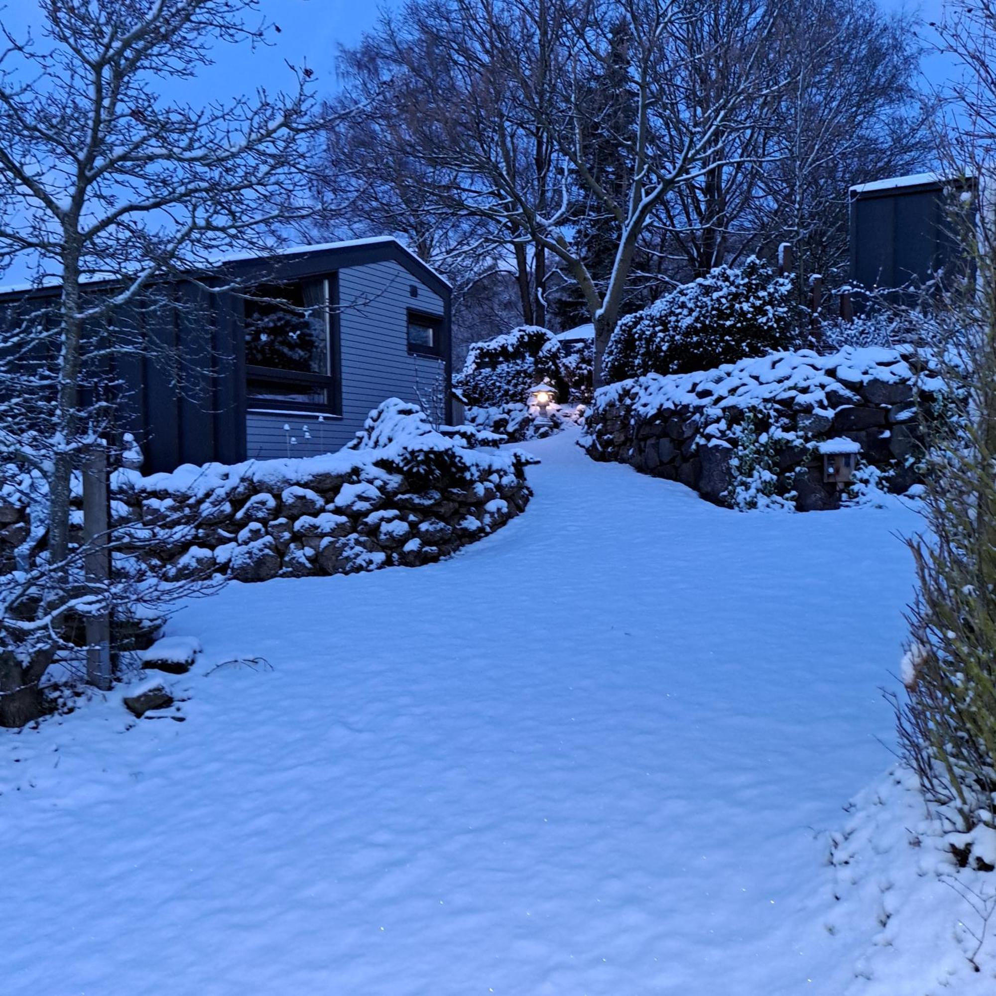 Sauerland-Tinyworld - Ihr Tiny Ferienhaus Im Sauerland Am Diemelsee Exteriör bild